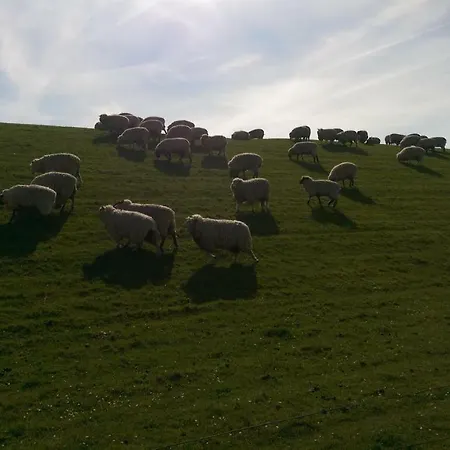 Nordsee Fewo Wilke * Tensbuttel-Rost