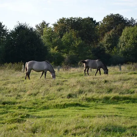 Nordsee Fewo Wilke * Tensbuttel-Rost